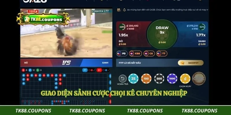 Giao diện sảnh cược chọi kê chuyên nghiệp