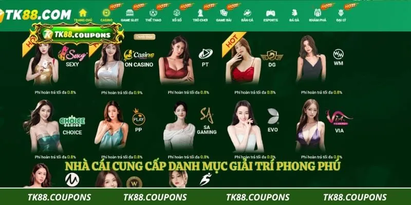 Nhà cái cung cấp danh mục giải trí phong phú