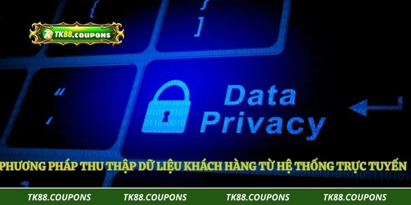 Phương pháp thu thập dữ liệu khách hàng từ hệ thống trực tuyến